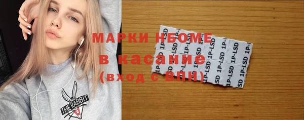 прущие грибы Богданович