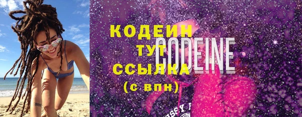прущие грибы Богданович