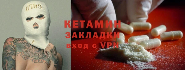 прущие грибы Богданович