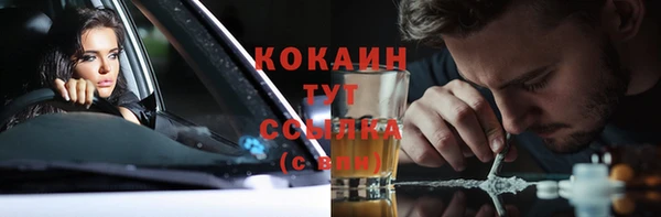 прущие грибы Богданович