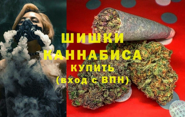 ПСИЛОЦИБИНОВЫЕ ГРИБЫ Богородск