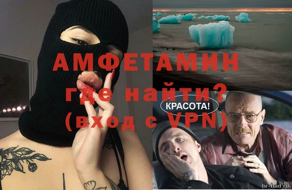 прущие грибы Богданович