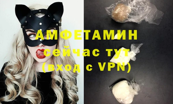 прущие грибы Богданович