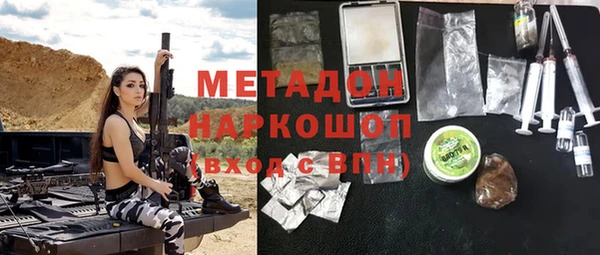 прущие грибы Богданович