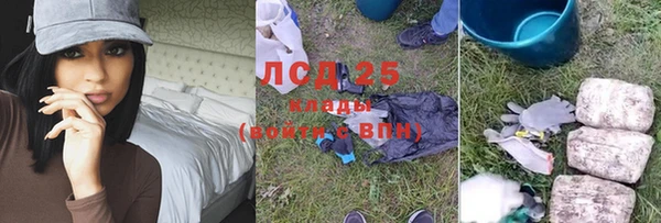 ПСИЛОЦИБИНОВЫЕ ГРИБЫ Богородск