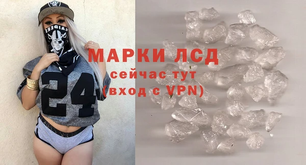 прущие грибы Богданович