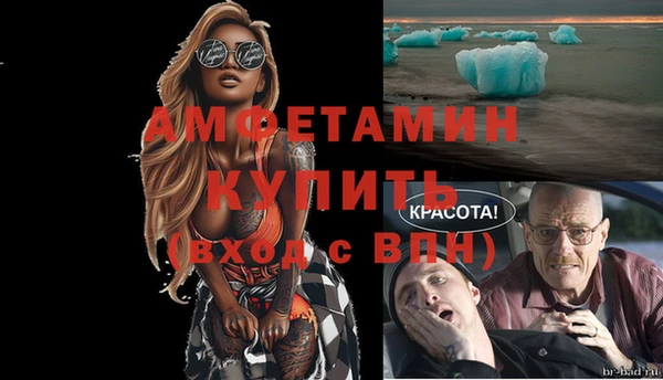 прущие грибы Богданович