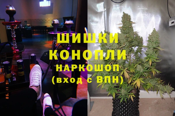 прущие грибы Богданович