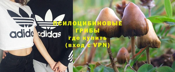 ПСИЛОЦИБИНОВЫЕ ГРИБЫ Богородск