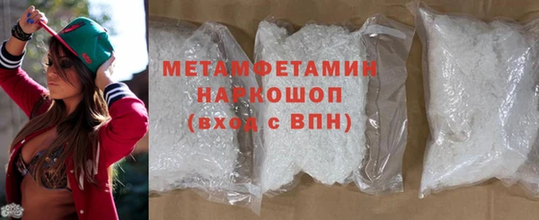 прущие грибы Богданович